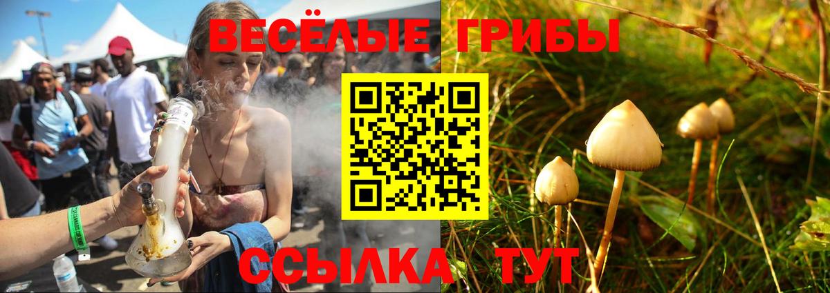 Псилоцибиновые грибы GOLDEN TEACHER Орёл